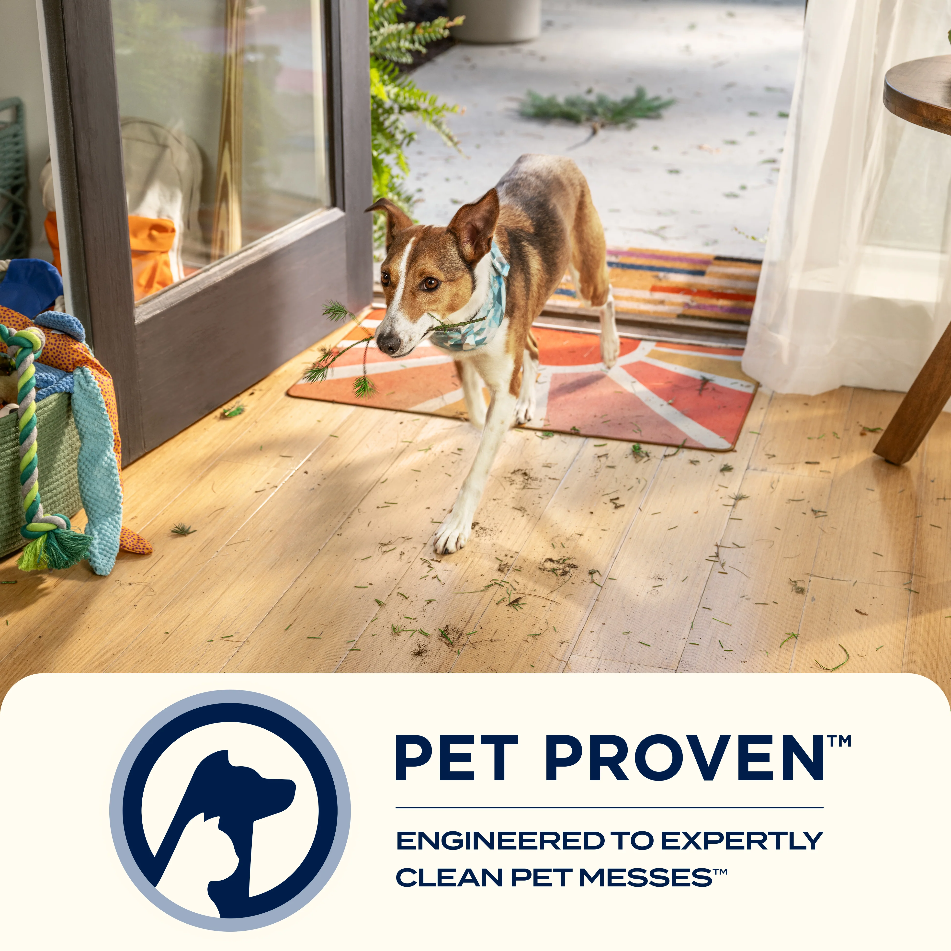 CrossWave OmniFind - Image 3