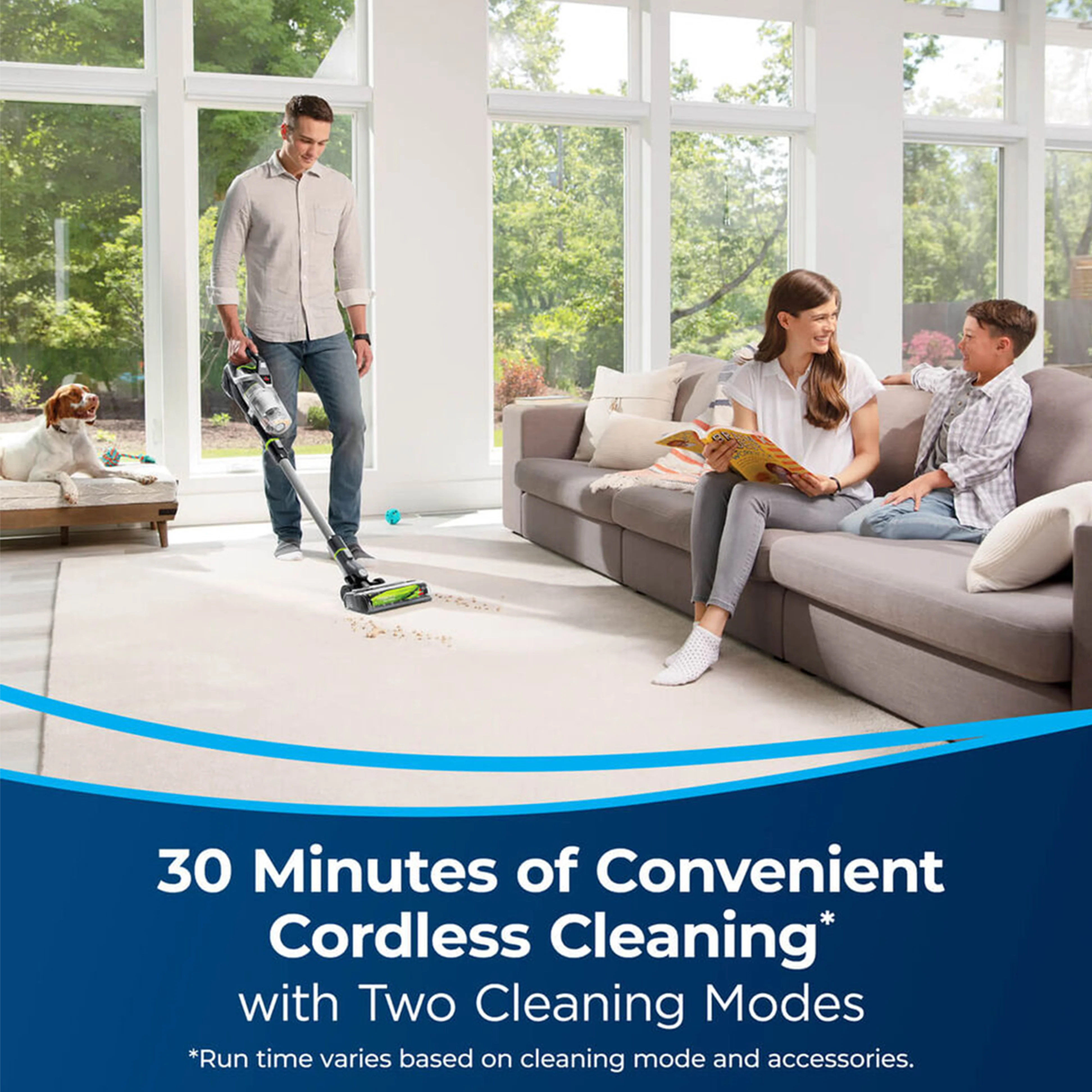 Damaged Carton Pet Hair Eraser Slim - Image 4