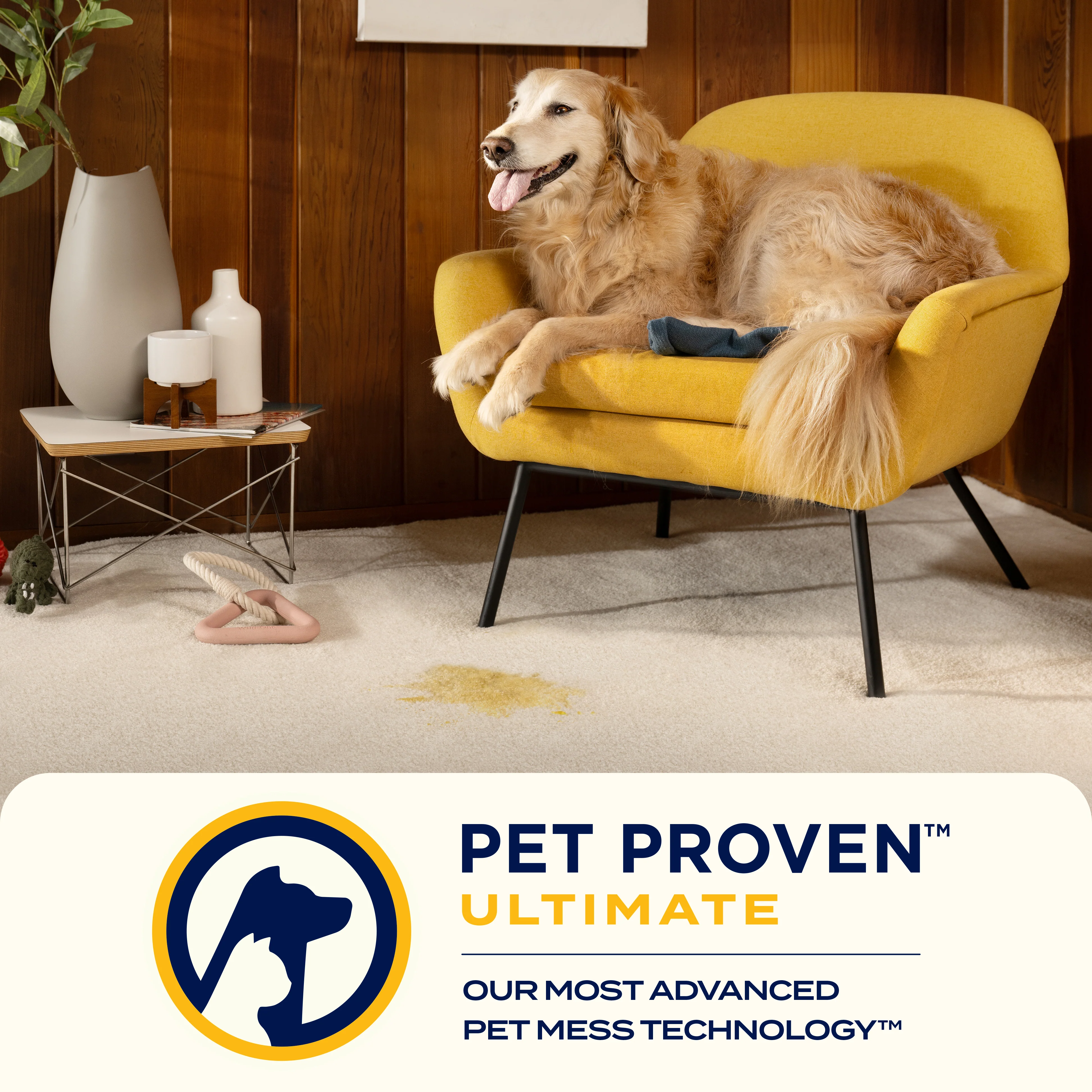 Revolution HydroSteam - Image 6