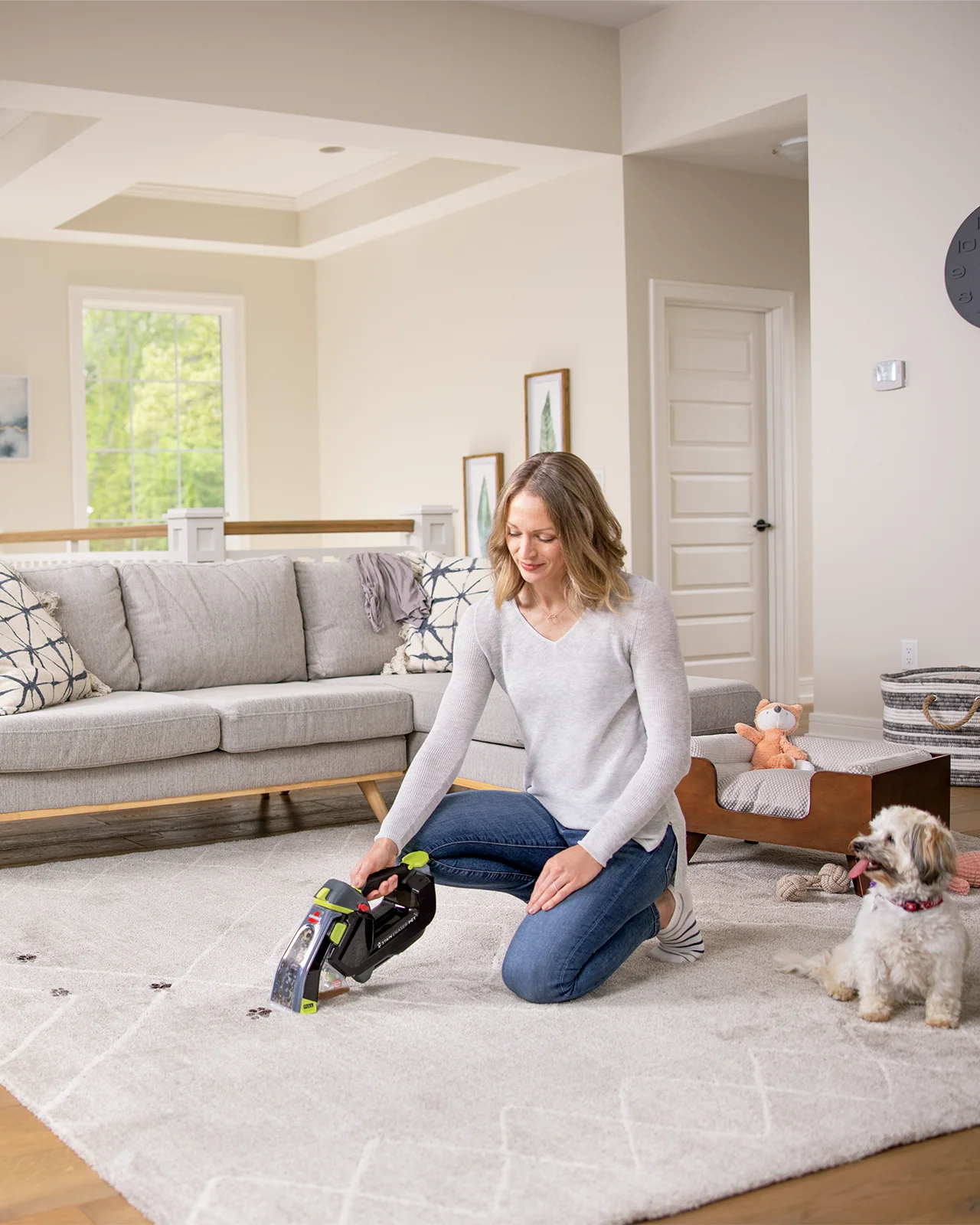 Damaged Carton Stain Eraser Pet - Image 6