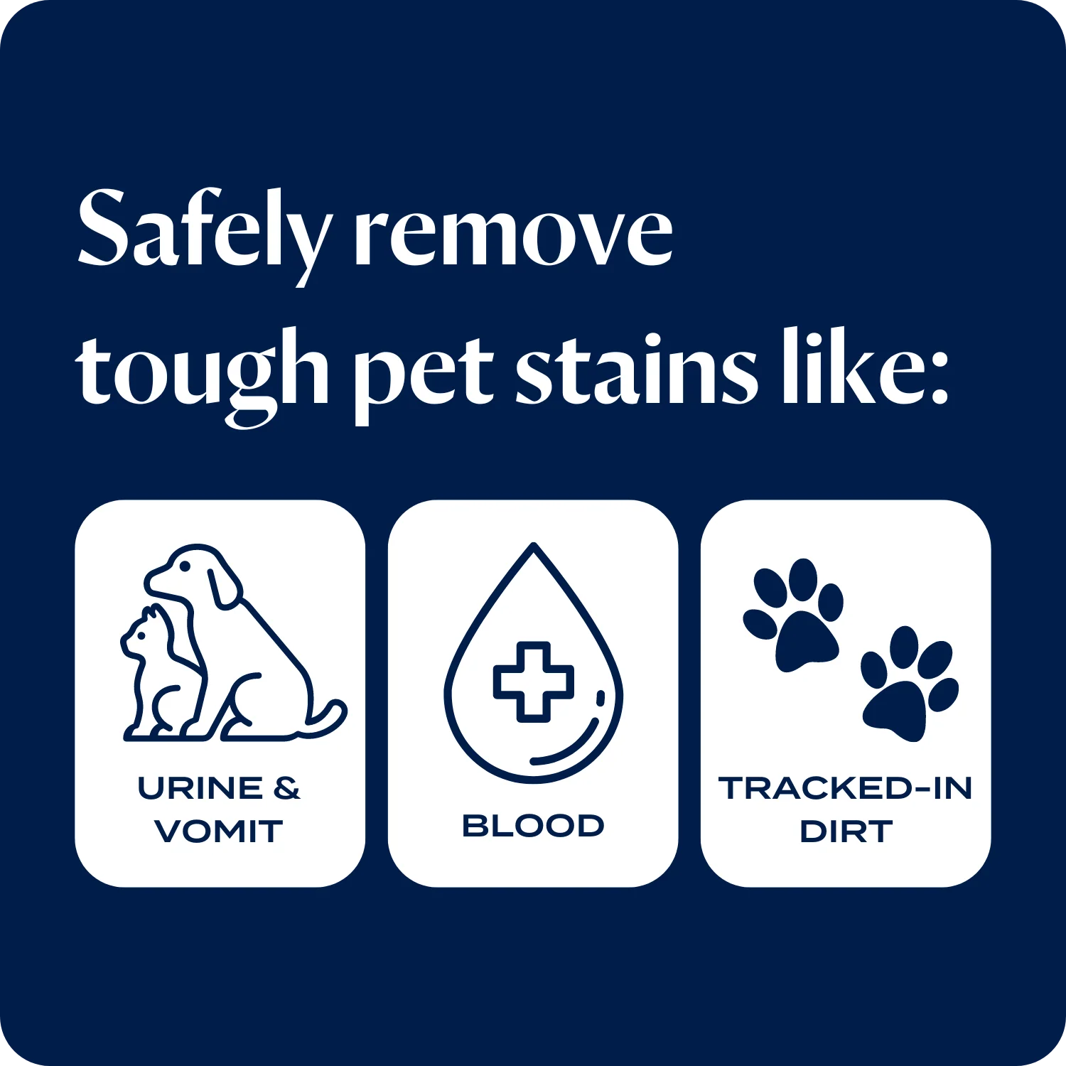 Pet Stain & Odour + Antibacterial Formula (1.25L) - Image 5