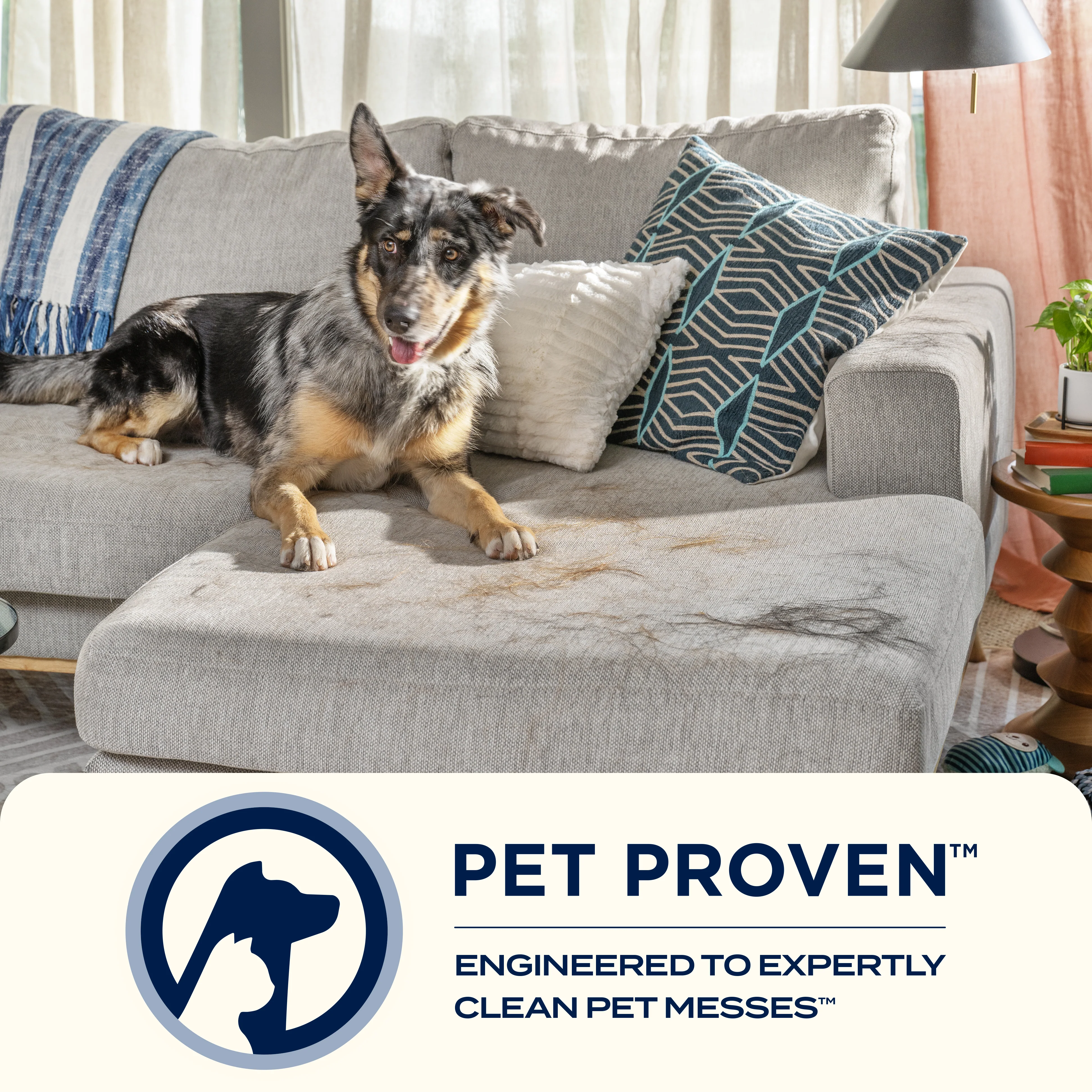 PowerClean FurFinder™ 200W - Image 10