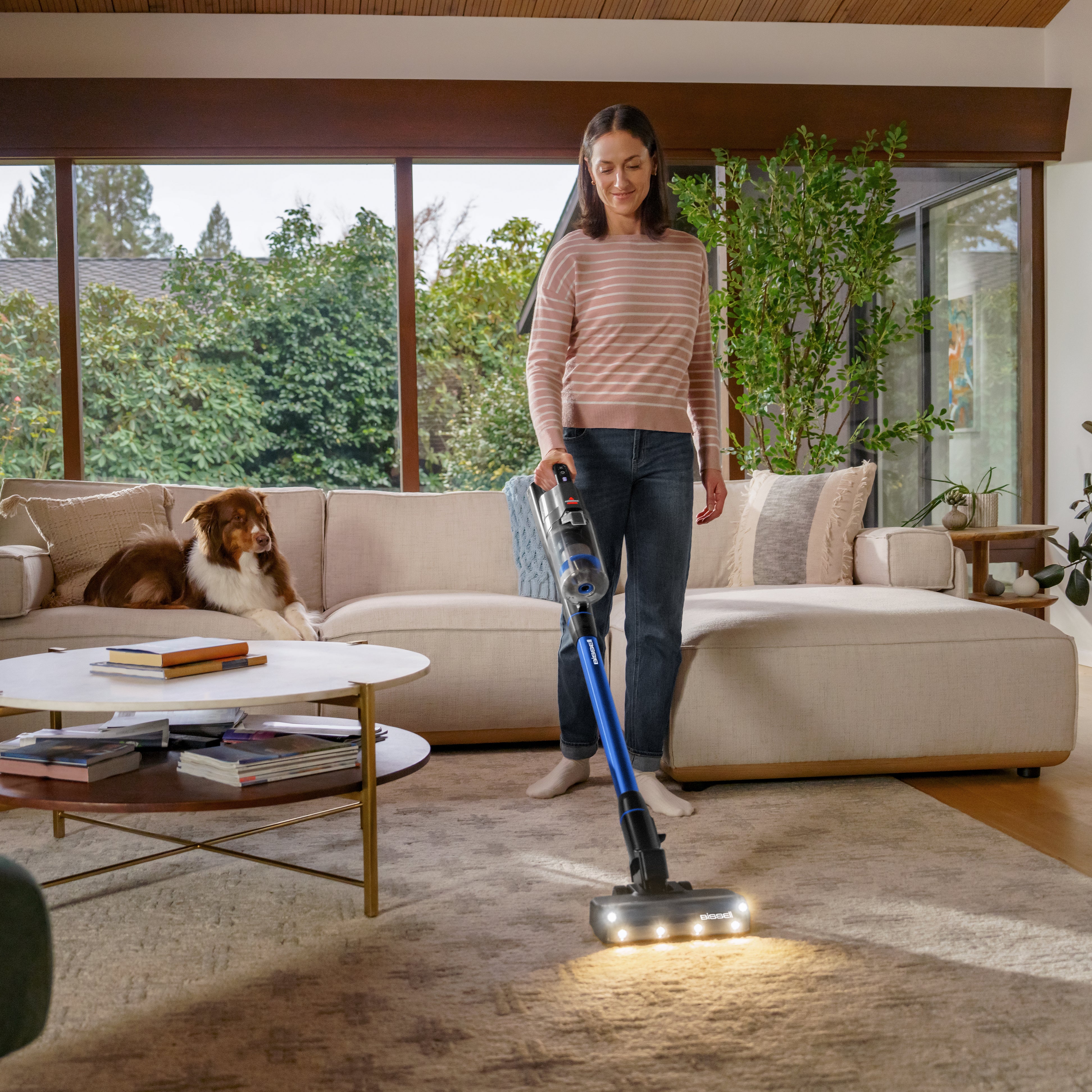 PowerClean FurFinder™ 200W - Image 24