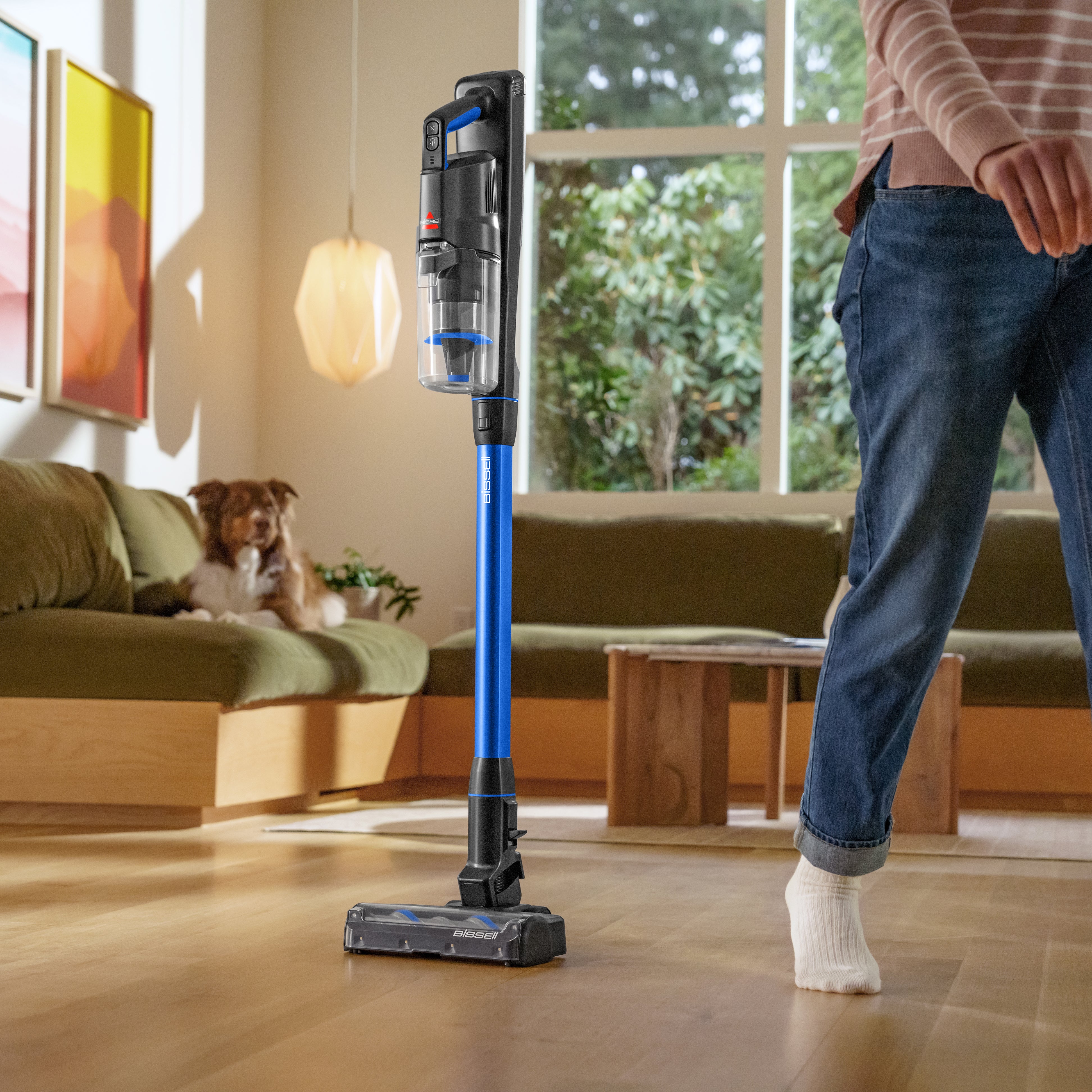 PowerClean FurFinder™ 200W - Image 33