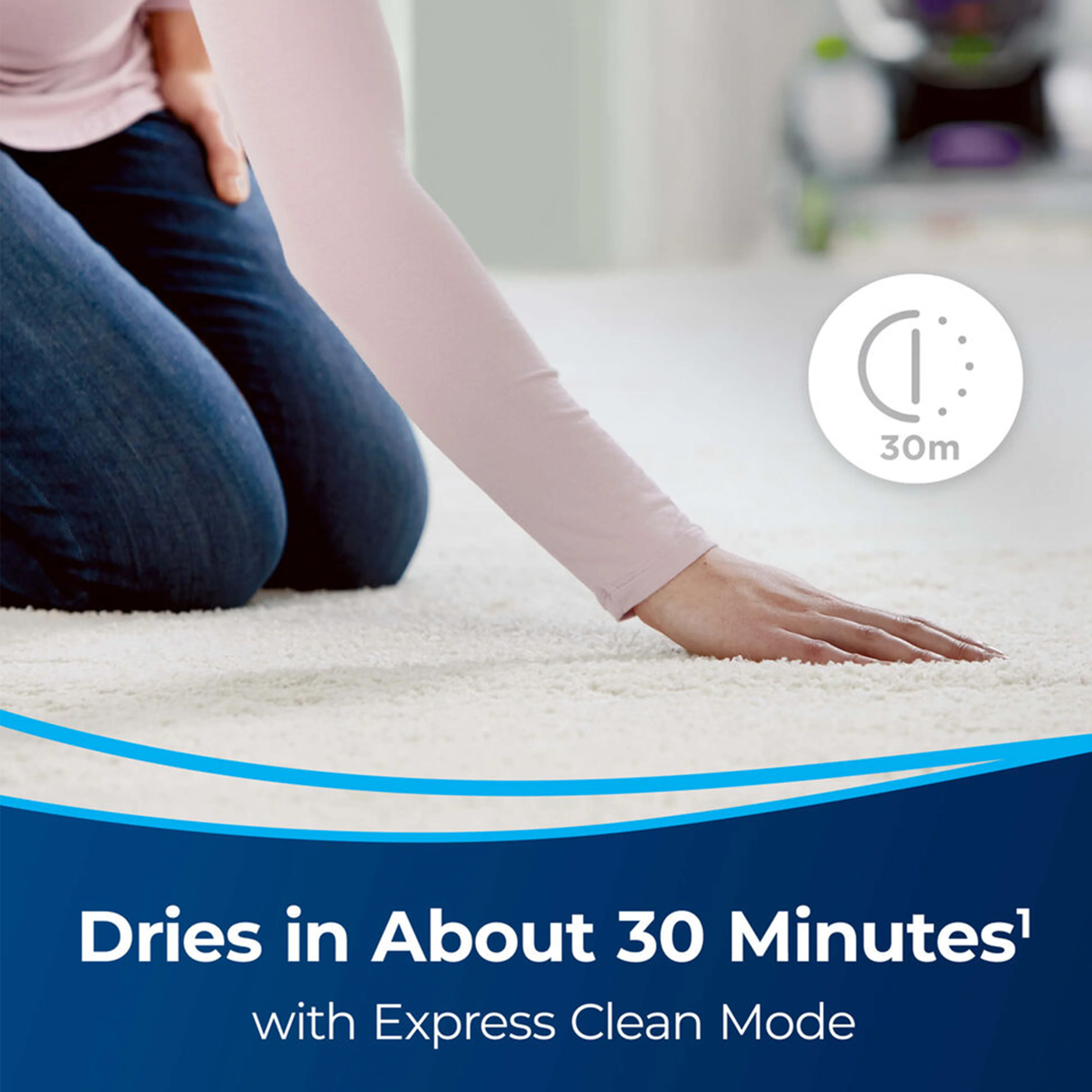 ProHeat 2X Revolution Pet - Image 5