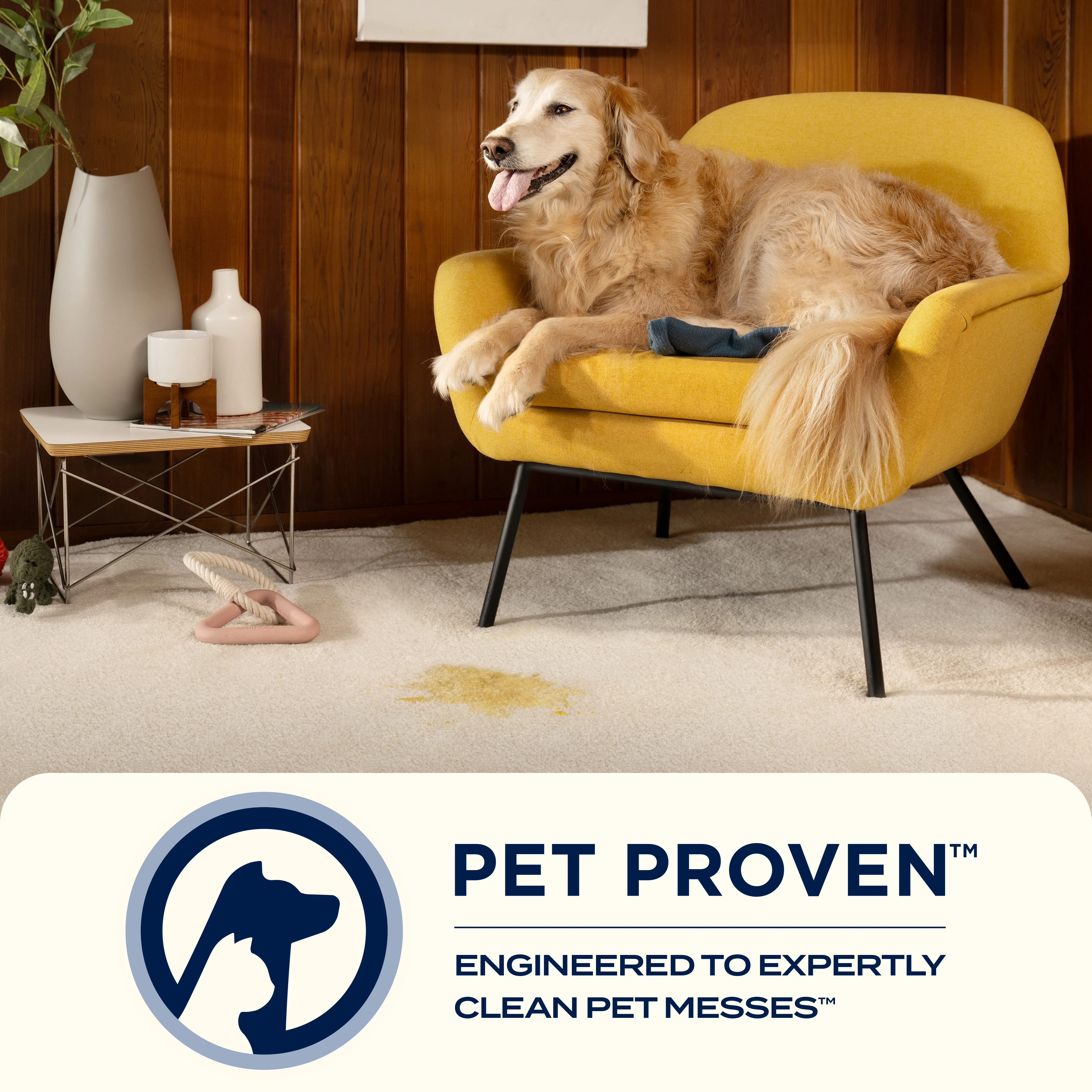 SpotClean™ Cordless - Image 8