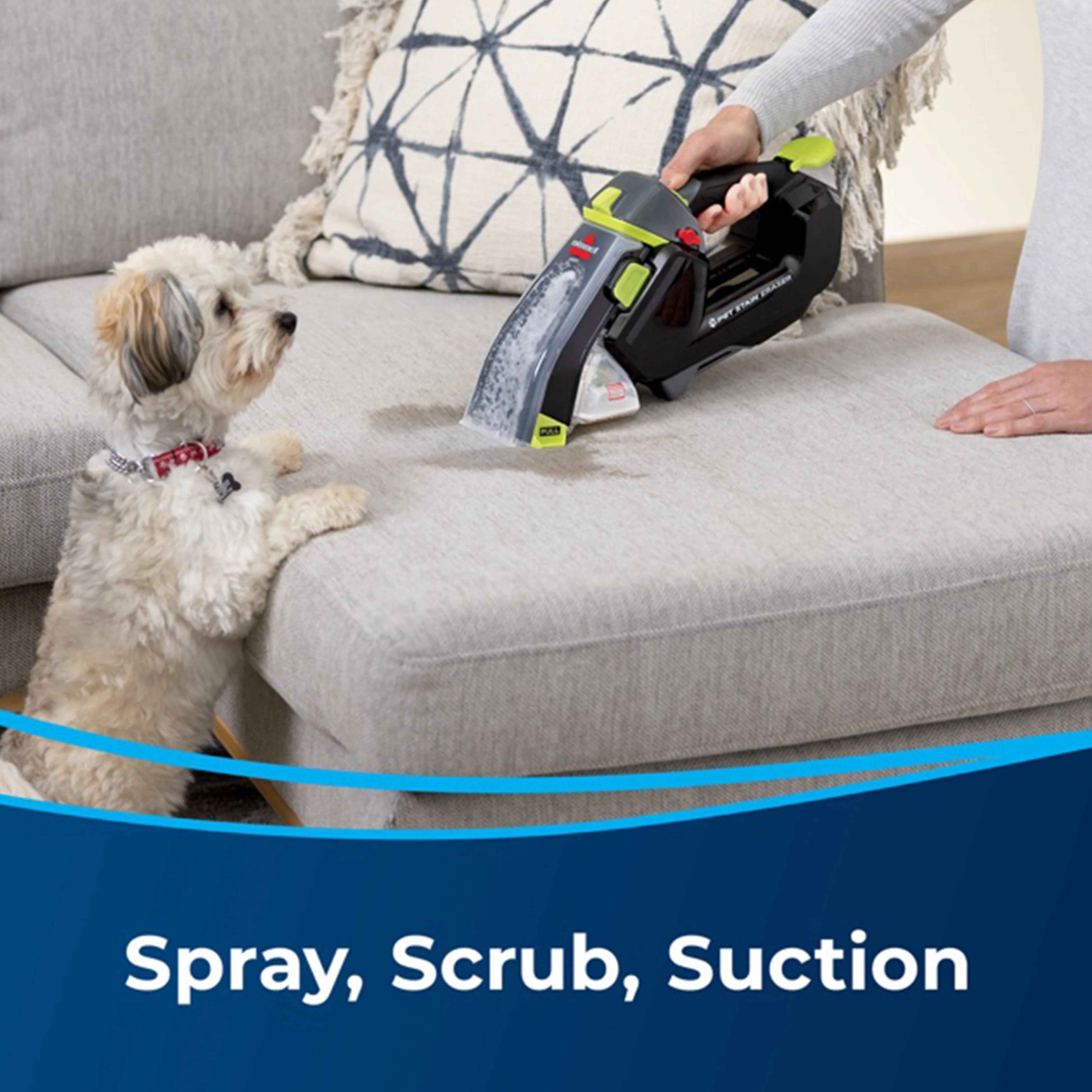 Stain Eraser Pet - Image 4