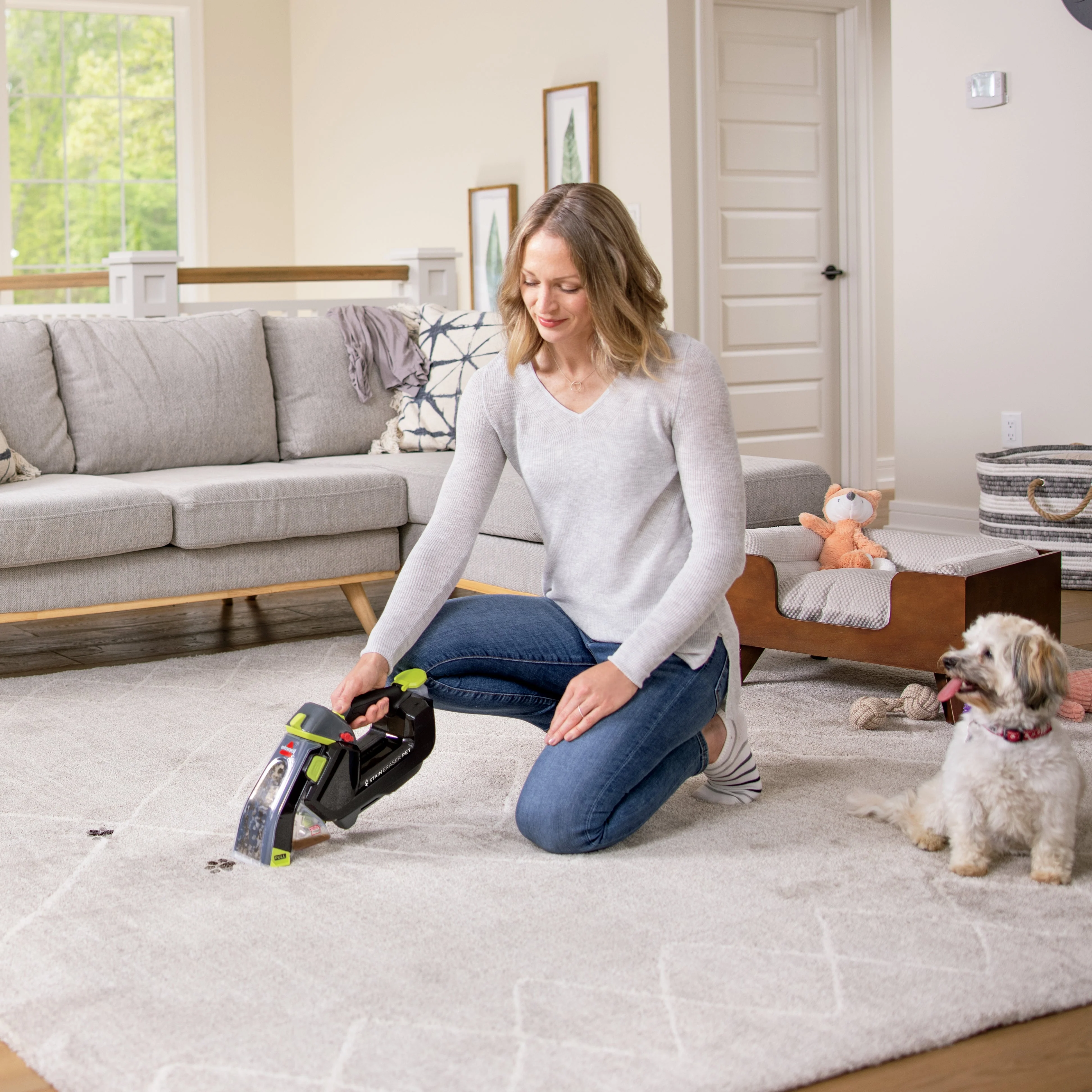 Stain Eraser Pet - Image 8